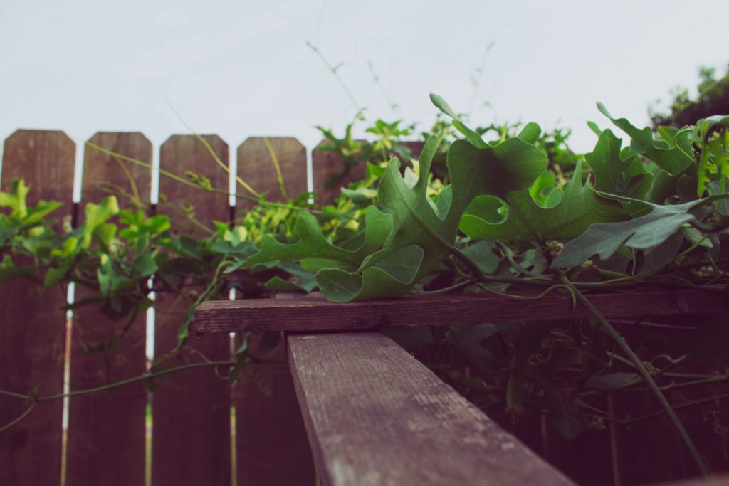 How long does a wood fence last in Texas?, Maintenance, Weather And Lifespan tips.